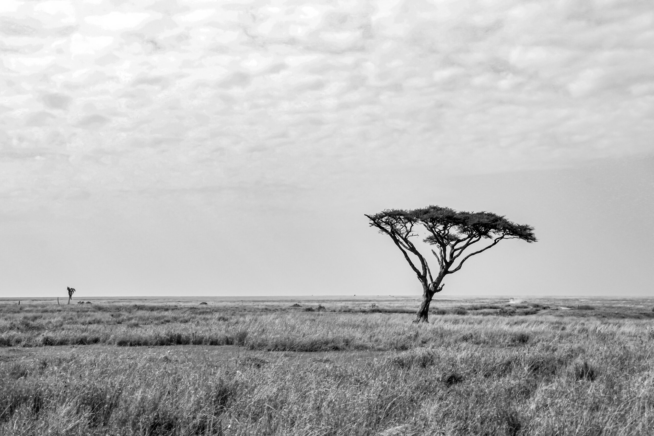 WONDERS OF OUR PLANET by Camille Massida Photography